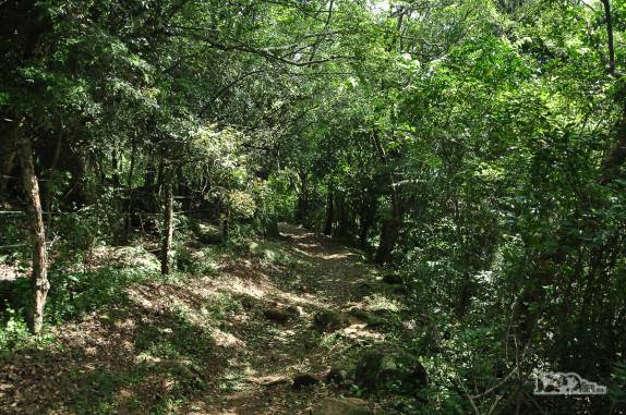 A agradável trilha que leva à  praia de Naufragados, no extremo sul de Florianópolis, Ilha de Santa Catarina